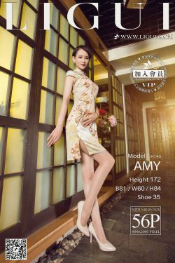 Model AMY《高贵旗袍美人》 [丽柜LiGui] 美腿玉足写真图片(56P)-旗袍,高贵,古典,丝足