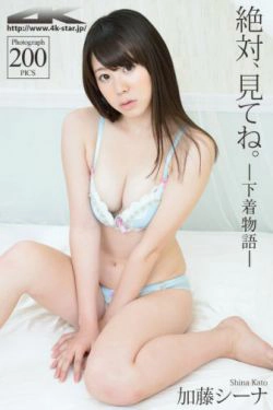 [4K-STAR] NO.00211 加藤シーナ Lingerie 睡衣 内衣(200P)-睡衣,内衣,可爱