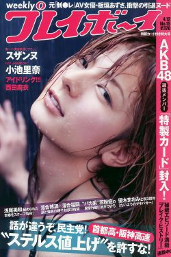 スザンヌ 西田麻衣 AKB48 小池里奈 永池南津子 [Weekly Playboy] 2010年No.15 写真杂志(34P)-杂志