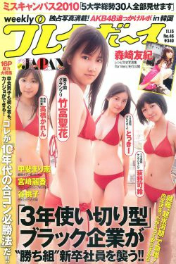 グラビアJAPAN 宮崎麗香 谷桃子 甲斐まり恵 森崎友紀 伊達あい [Weekly Playboy] 2010年No.46 写真杂志(33P)-杂志,日本女星