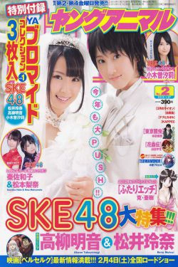 松井玲奈 高柳明音 [Young Animal] 2012年No.02 写真杂志(10P)-杂志