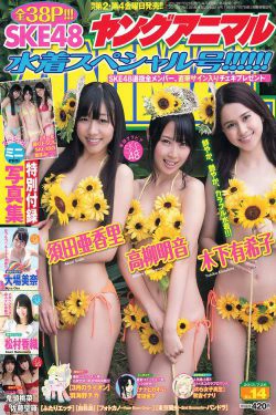 須田亜香里 高柳明音 木下有希子 大场美奈 松村香織 佐藤聖羅 鬼头桃菜 [Young Animal] 2013年No.14 写真杂志(40P)-杂志,日本少女
