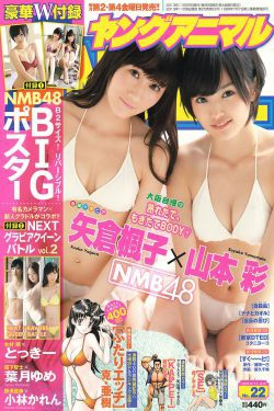山本彩 矢倉楓子 とっきー 小林かれん 葉月ゆめ [Young Animal] 2013年No.22 写真杂志(32P)-日本,杂志