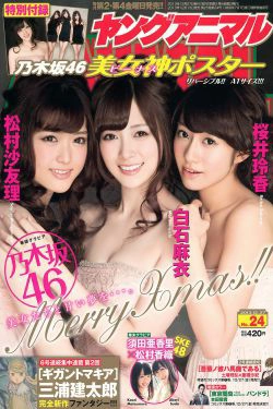 白石麻衣 桜井玲香 松村沙友理 須田亜香里 松村香織 [Young Animal] 2013年No.24 写真杂志(21P)-杂志,日本女星