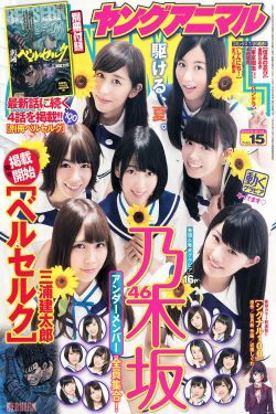 乃木坂46 能條愛未 永島聖羅 伊藤かりん [Young Animal] 2015年No.15 写真杂志(17P)-杂志,日本少女