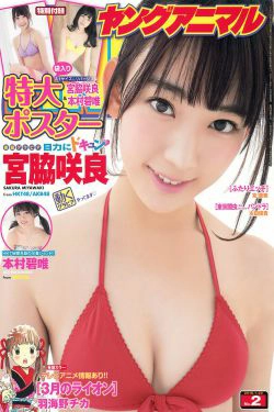 宮脇咲良 本村碧唯 [Young Animal] 2016年No.02 写真杂志(18P)-杂志,软妹