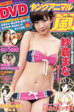 紗倉まな 吉田早希 倉持由香 さとう遙希 [Young Animal Arashi 岚特刊] No.04 2013年 写真杂志(19P)-女优,杂志