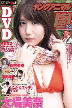 大場美奈 稲村亜美 涼川絢音 [Young Animal Arashi 岚特刊] No.02 2016年 写真杂志(19P)-杂志