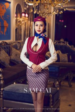 蔡老师《私人空乘》 [头条女神Toutiaogirls](10P)-空姐,美臀
