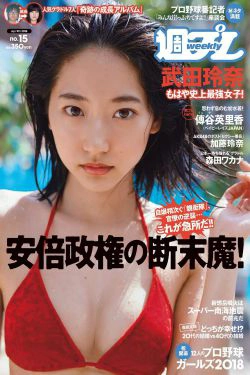 武田玲奈 森田ワカナ 加藤玲奈 傳谷英里香 大友花恋 伊藤寧々 桐谷まつり [Weekly Playboy] 2018年No.15 写真杂志(31P)-日本,杂志