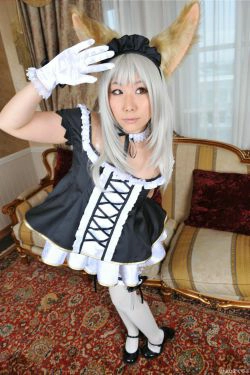 丹雫ひよ (Nishizuku Hiyo) 《T.E.R.A》Elin  [HiyoHiyo Club](95P)-COS