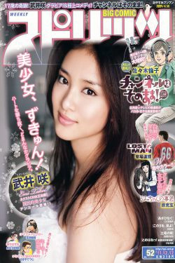 [Weekly Big Comic Spirits] 2011年No.52 武井咲(8P)-优雅,气质,明星