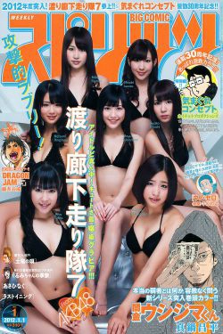 [Weekly Big Comic Spirits] 2012年No.01 渡り廊下走り隊7(8P)-日本女星
