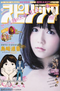 [Weekly Big Comic Spirits] 2013年No.02 岛崎遥香(9P)-软妹