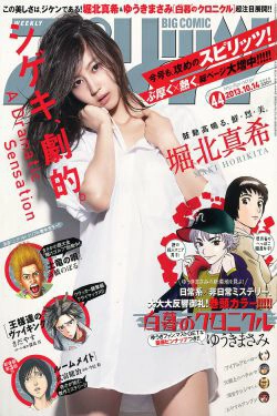 [Weekly Big Comic Spirits] 2013年No.44 堀北真希(7P)-日本女星