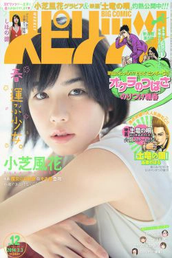 [Weekly Big Comic Spirits] 2014年No.12 小芝風花 しほの涼(7P)-杂志
