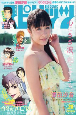 [Weekly Big Comic Spirits] 2014年No.20 澤田汐音(5P)-清纯