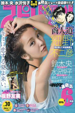 [Weekly Big Comic Spirits] 2014年No.30 板野友美(9P)-日本女星