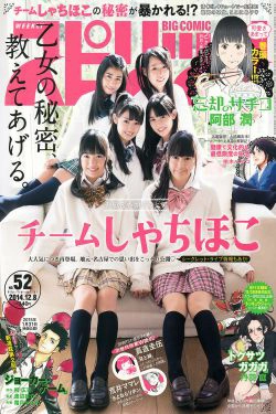 [Weekly Big Comic Spirits] 2014年No.52 チームしゃちほこ(7P)-杂志