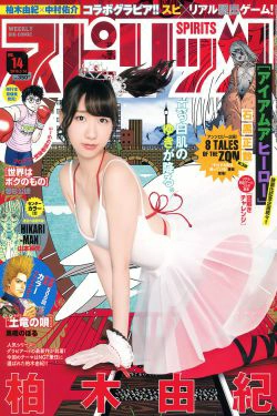 [Weekly Big Comic Spirits] 2016年No.14 柏木由紀(9P)-日本女星