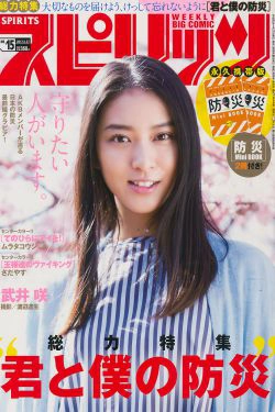 [Weekly Big Comic Spirits] 2017年No.15 武井咲(7P)-女神