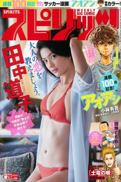 [Weekly Big Comic Spirits] 2017年No.28 田中道子(8P)-日本