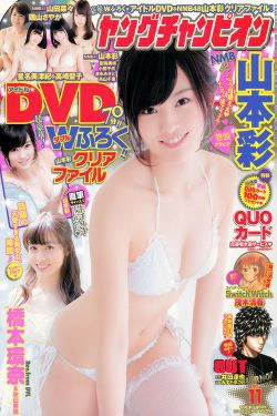 [Young Champion] 2014年No.11 山本彩 橋本環奈 秋山美穂(15P)-杂志