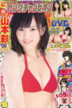 [Young Champion] 2015年No.15 山本彩(16P)-日本,妹子