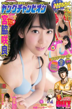 [Young Champion] 2016年No.11 宮脇咲良 鈴木ふみ奈(15P)-日本,妹子