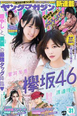 [Young Magazine] 2017年No.31 渡邉理佐 菅井友香 岡田紗佳(12P)-姐妹花,清纯