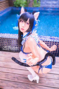 雨波_HaneAme 兽耳少女 Natsumi(25P)-COS
