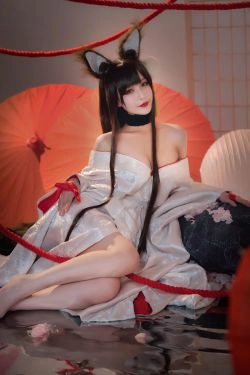 [Cosplay写真] 动漫博主铁板烧鬼舞w - 赤城(20P)-COS