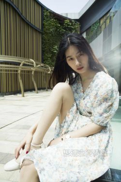 [思话SiHua] SH119 诗韵 印花裙的都市美感(39P)-连衣裙